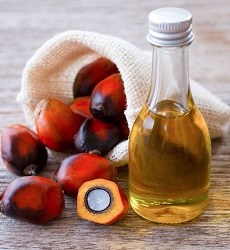 Crude Palm Kernel Oil of Edible Grade in Bulk 